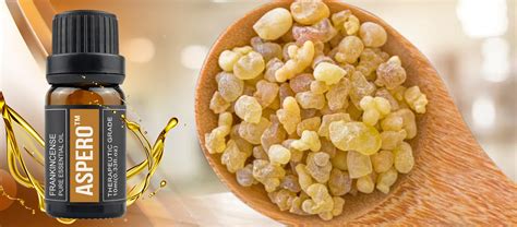 aspero oil|Effect of 4 weeks of frankincense consumption on explicit motor。